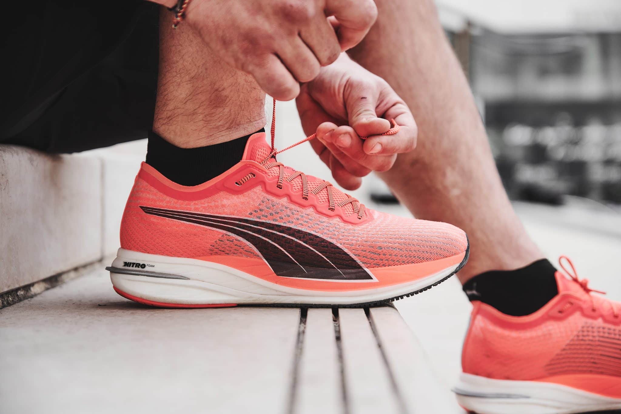 puma california dama